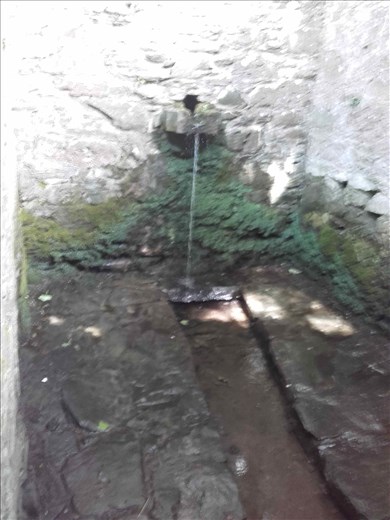 Ireland -- Streull Wells -- spring in women's bath house