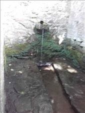 Ireland -- Streull Wells -- spring in women's bath house: by billh, Views[345]