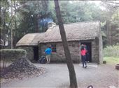 Ireland -- Ulster Folk Park -- original Irish cottage from early 1800's: by billh, Views[345]