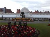 Ireland -- Belfast -- Botanic Gardens.03: by billh, Views[346]