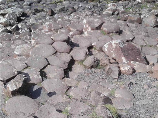 Northern Ireland -- Giant's Causeway -- hexagonal fracturing in lava flow.01