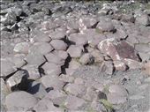 Northern Ireland -- Giant's Causeway -- hexagonal fracturing in lava flow.01: by billh, Views[304]