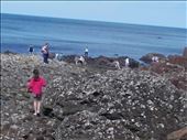 Northern Ireland -- Giant's Causeway.04: by billh, Views[325]
