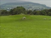 Ireland -- Carrowmore Neolithic mound.04: by billh, Views[402]