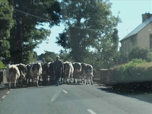 Northwest Ireland coast -- traffic congestion