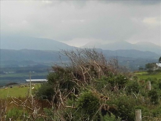 Northern Ireland coast -- Horn's Head -- looking inland