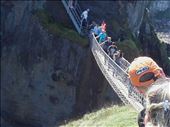 Northern Ireland -- Carrick-a-Rede rope walk.08: by billh, Views[354]