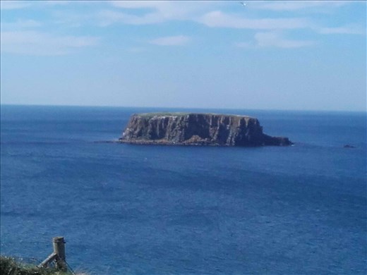 Northern Ireland -- Carrick-a-Rede rope walk.10