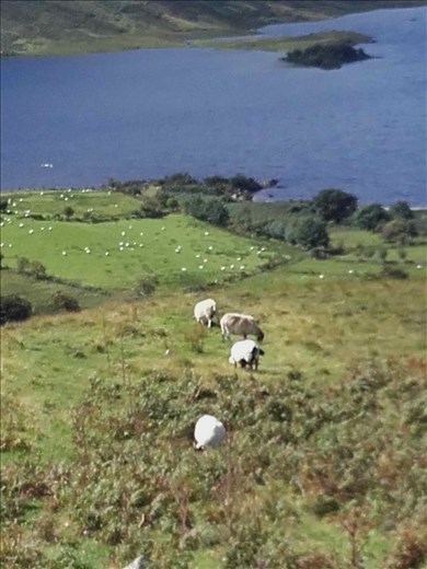 Ireland -- Clew Bay.08