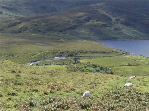 Ireland -- Clew Bay.09
