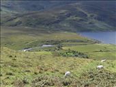 Ireland -- Clew Bay.09: by billh, Views[347]