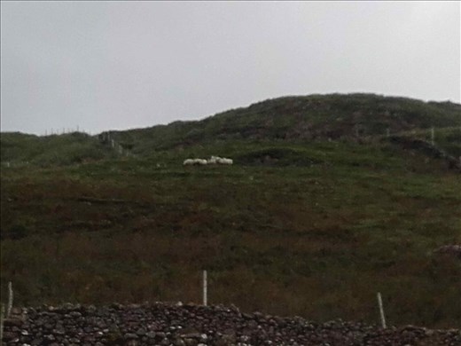 Ireland -- Clew Bay inland.02