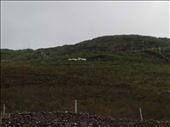 Ireland -- Clew Bay inland.02: by billh, Views[318]