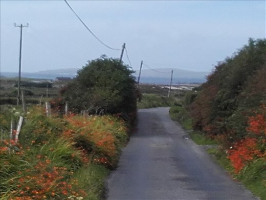 Ireland West Coast -- village lane