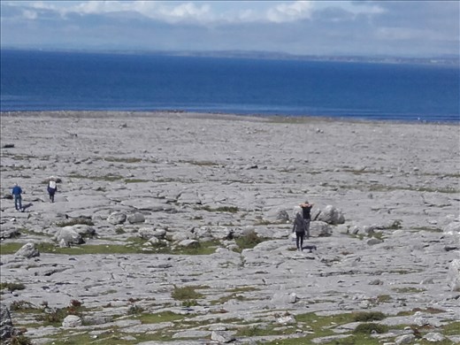 Ireland West Coast -- Cliffs of Moher.06