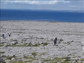 Ireland West Coast -- Cliffs of Moher.06: by billh, Views[325]