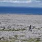 Ireland West Coast -- Cliffs of Moher.06: by billh, Views[291]