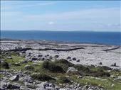 Ireland West Coast -- Cliffs of Moher.02: by billh, Views[266]