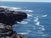 Ireland West Coast -- Cliffs of Moher.09: by billh, Views[263]
