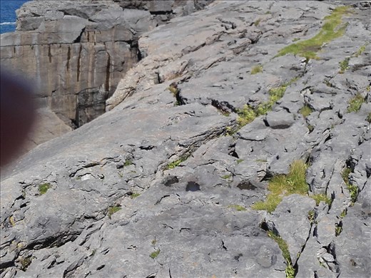 Ireland West Coast -- Cliffs of Moher.05