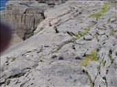 Ireland West Coast -- Cliffs of Moher.05: by billh, Views[288]