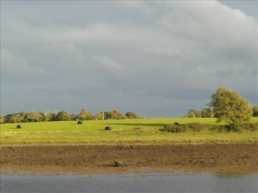 Ireland West Coast -- Kilcolgan