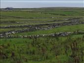Ireland West Coast -- Day 2 -- backside of cliffs.02: by billh, Views[396]
