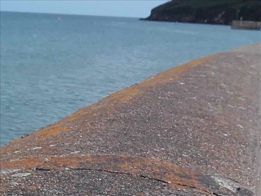 Ireland -- Ardmore Bay -- kayaking -- straight out and around and turn right