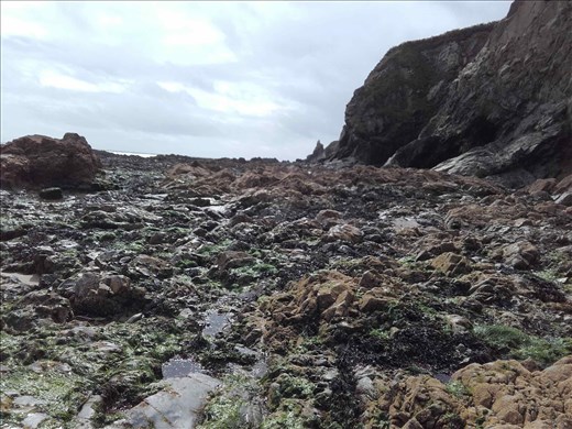 Southern Ireland Coast -- Bunmahon.05