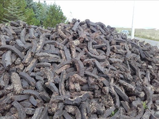 When you think of Ireland, the items in the photo come to mind.  What are they?