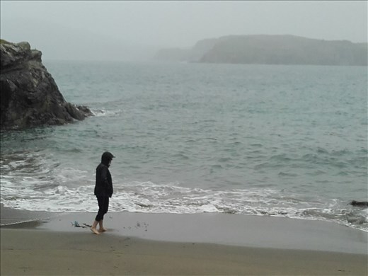Southern Ireland Coast -- Castletownshend -- Cindy on the beach