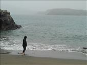 Southern Ireland Coast -- Castletownshend -- Cindy on the beach: by billh, Views[388]