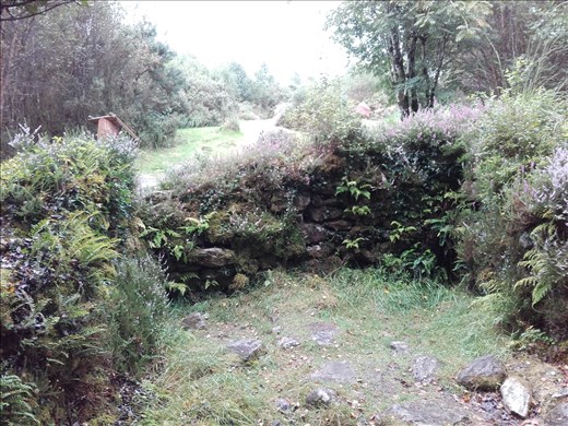 Southern Ireland -- Bonane Neolithic Site -- remnants of a Neolithic stone hut.1