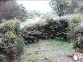 Southern Ireland -- Bonane Neolithic Site -- remnants of a Neolithic stone hut.1: by billh, Views[273]