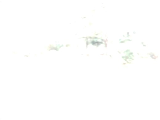 Southern Ireland -- Bonane Neolithic Site --camera malfunction or psychic photo?