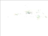 Southern Ireland -- Bonane Neolithic Site --camera malfunction or psychic photo?: by billh, Views[321]