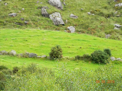 Southern Ireland -- Beara Peninsula.10