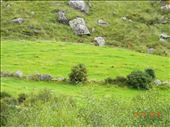 Southern Ireland -- Beara Peninsula.10: by billh, Views[453]