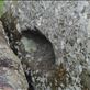 England -- Stonehenge.05: by billh, Views[282]