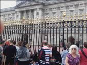 England -- London --  Changing of the Guard at Buckingham Palace.01: by billh, Views[320]