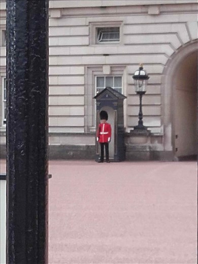 England -- London -- changing of the Guard at Buckingham Palace --- Guard box