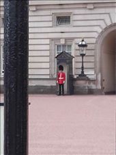 England -- London -- changing of the Guard at Buckingham Palace --- Guard box: by billh, Views[295]