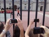 England -- London --  Changing of the Guard at Buckingham Palace.02: by billh, Views[234]