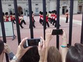 England -- London --  Changing of the Guard at Buckingham Palace.05: by billh, Views[396]