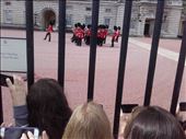 England -- London --  Changing of the Guard at Buckingham Palace.07: by billh, Views[386]