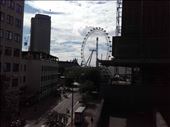 England -- London -- London Eye: by billh, Views[241]