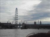 England -- London -- London Eye, London Bridge, Parliament, Big Ben: by billh, Views[280]