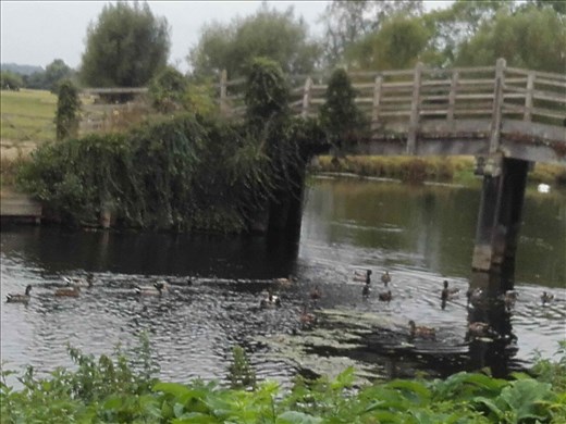 England -- Cottage Bridge.03