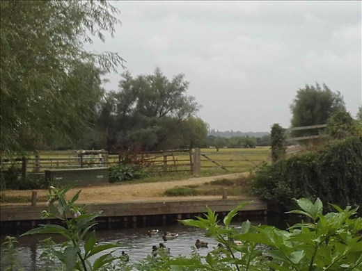 England -- Cottage Bridge.04