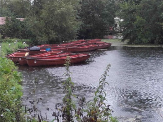 England -- Cottage Bridge -- mill stream.03